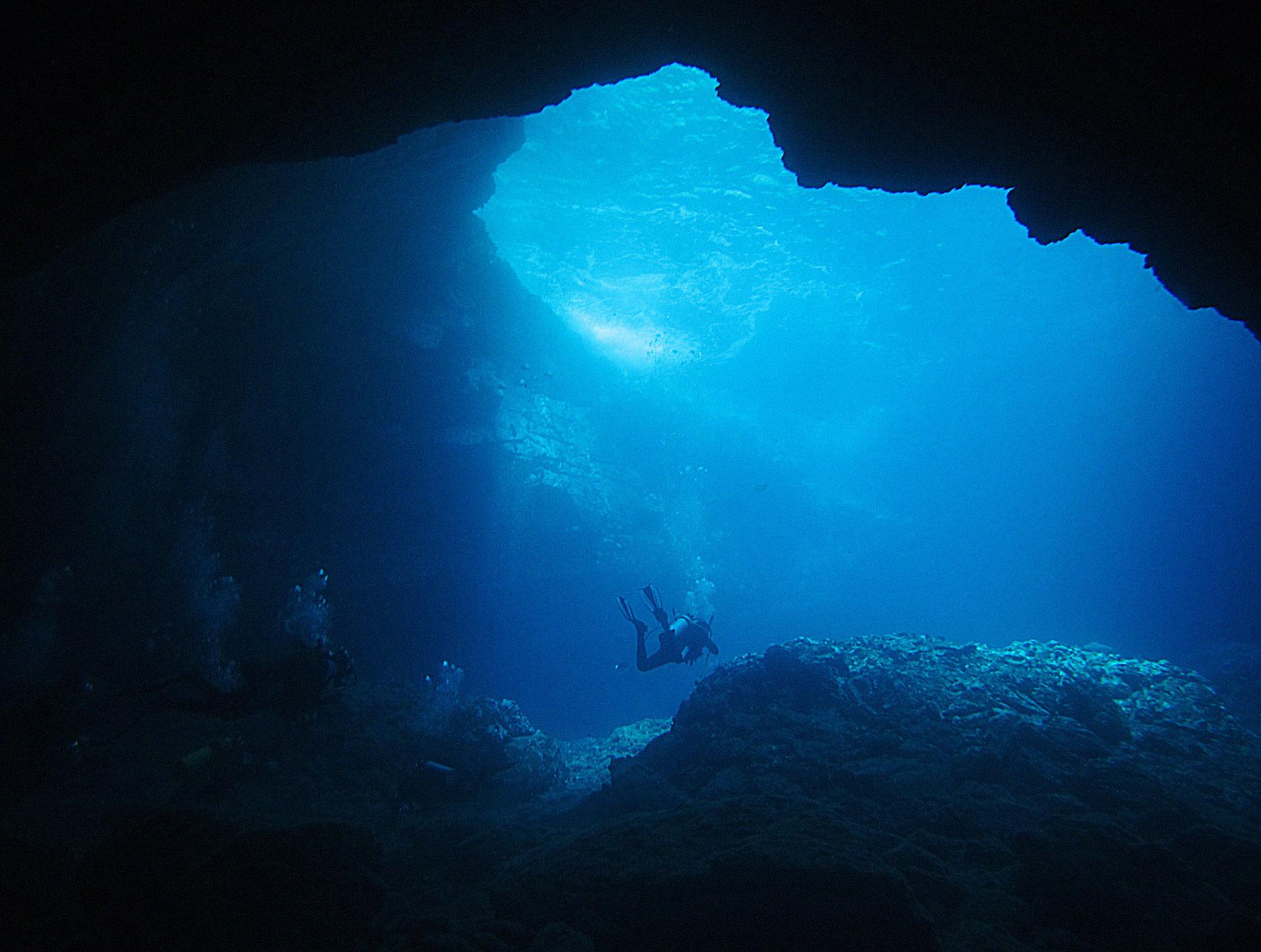 Pelagic Bioluminescent Night Dive - Certified Only photo 1