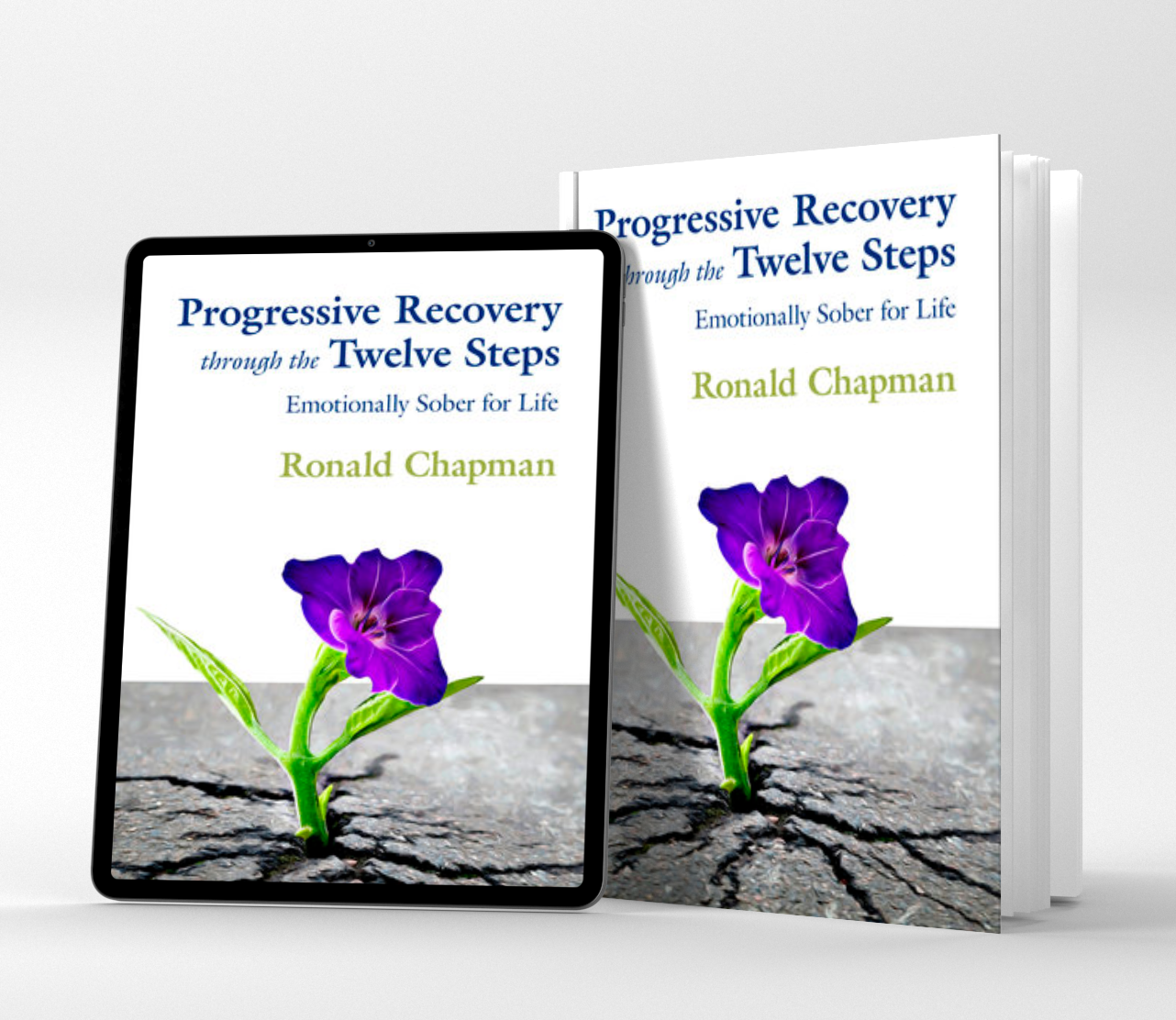 Progressive Recovery Through the Twelve Steps Book