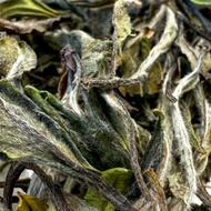 Bai Mudan (White Peony) from The Tea Practitioner