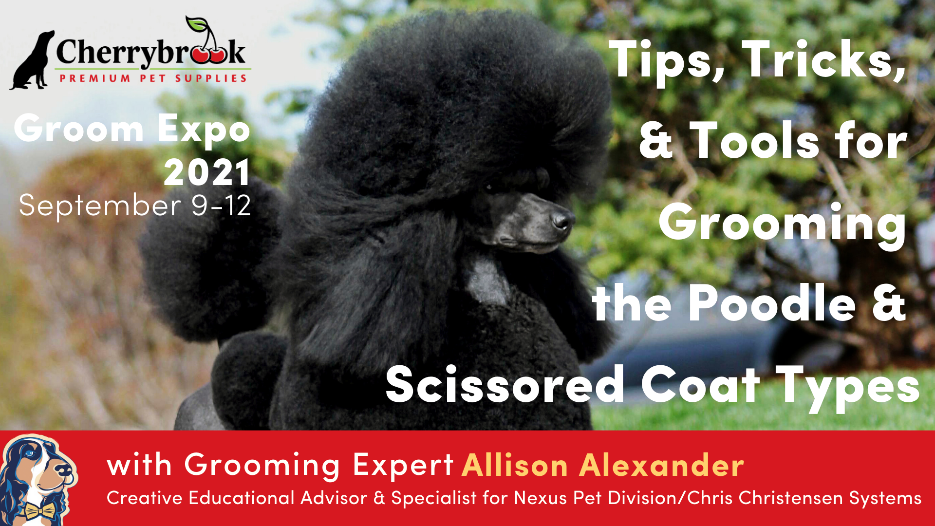 Cherrybrook grooming sales