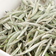 Organic Fuding Silver Needle, 2016 from Red Blossom Tea Company