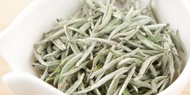 Organic Fuding Silver Needle, 2016 from Red Blossom Tea Company