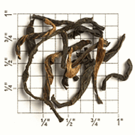 Harishpur Estate TGFOP CL (TA42) from Upton Tea Imports