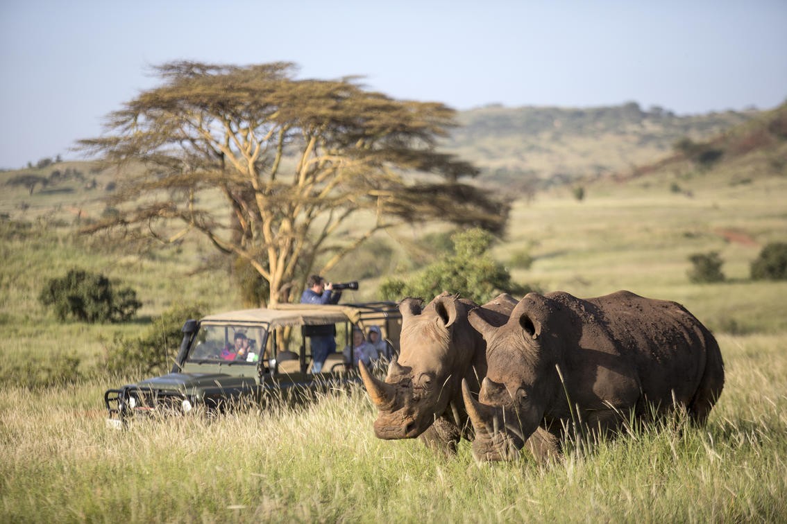 Game Drive in Private Conservancy