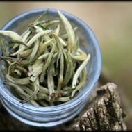 Guangxi Silver Needle from Whispering Pines Tea Company