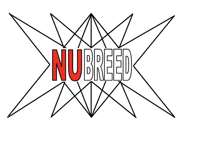 NU Breed Volleyball Club Inc logo