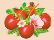 Cherry Tea from Red Leaf Tea