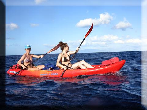Kayak Eco-Snorkel Tour $170 photo 2