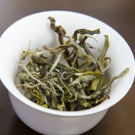 Bai shu Raw Puer from Hojo Tea