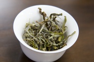 Bai shu Raw Puer from Hojo Tea