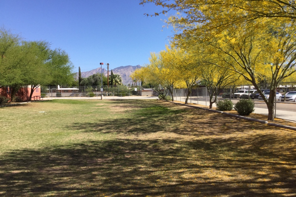 Front Field and Playground