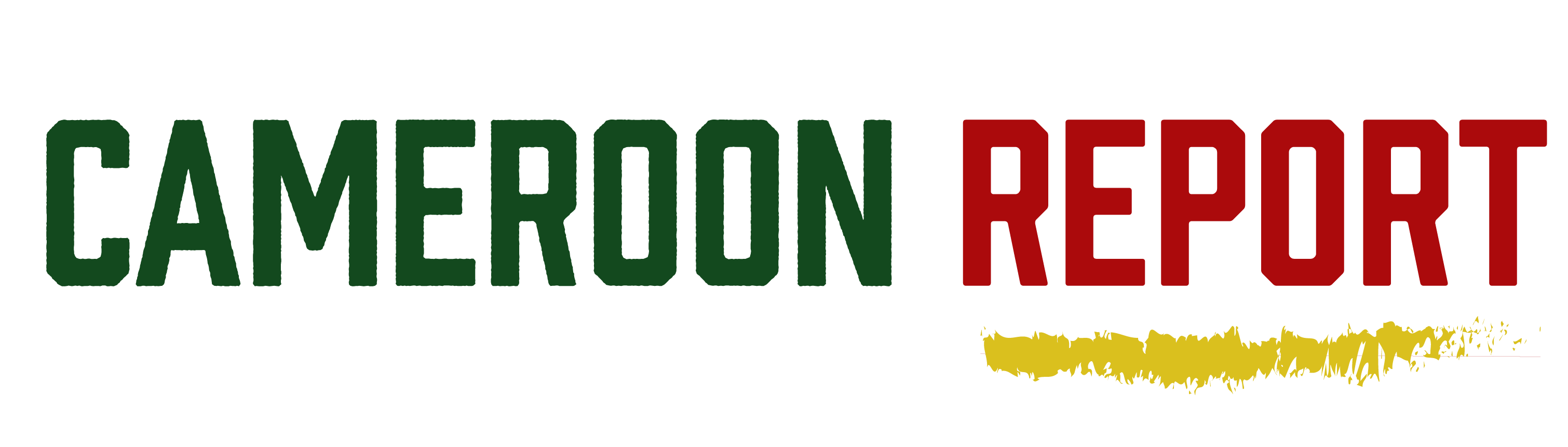 Cameroon Report logo
