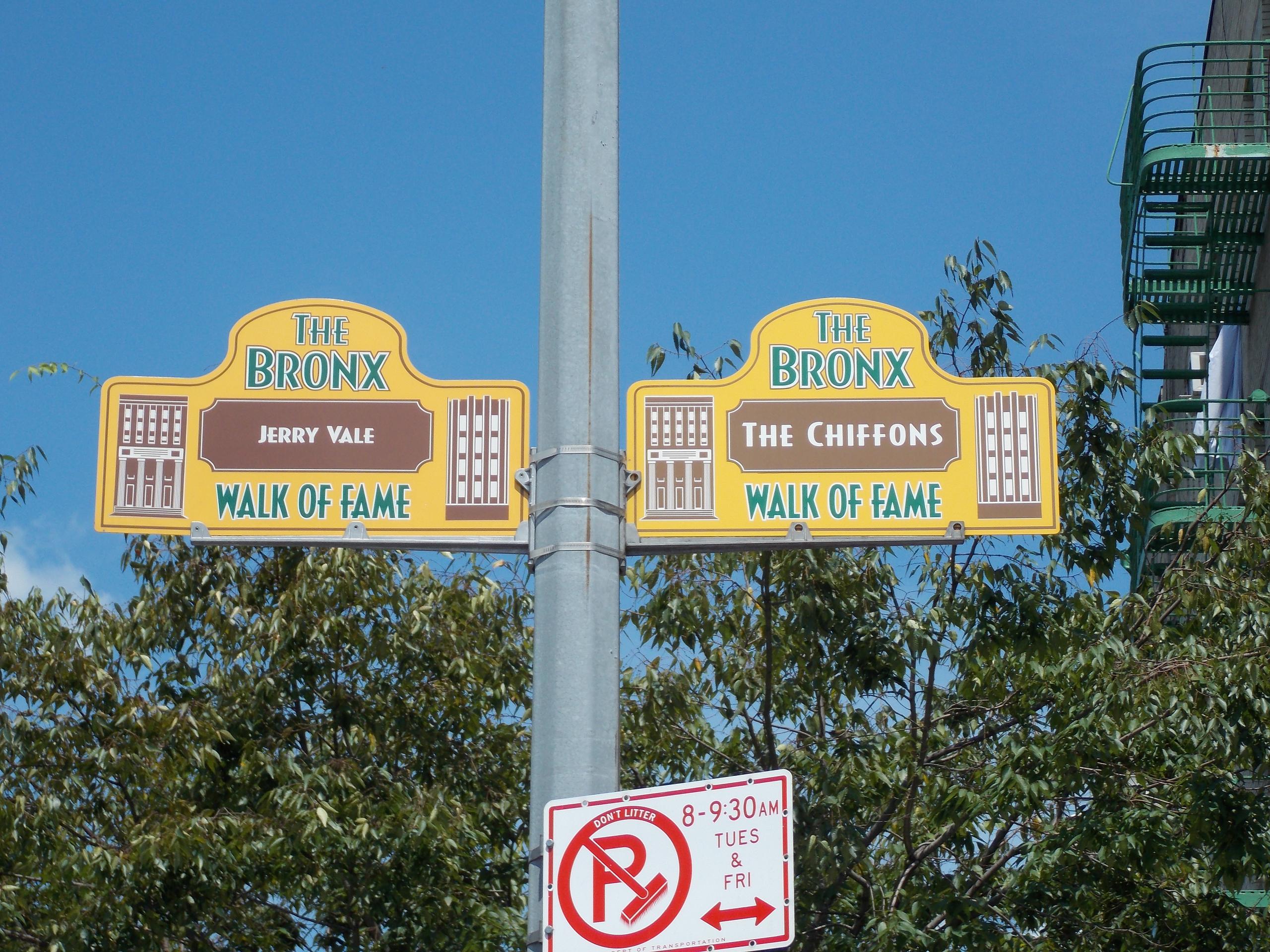 Private Group: An Insider's Guide to the South Bronx (Walking) Tour photo 1