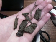 Chasandai: Shimane-Grown Organic Bancha Tea from Yunomi