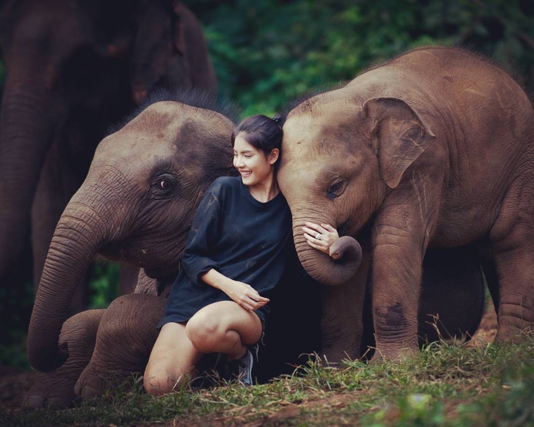 Enperience Elephant Jungle Sanctuary Camp (Join-in tour)