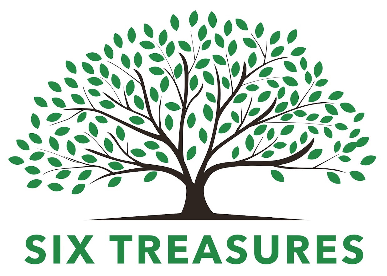 Six Treasures Ministries, Inc. logo