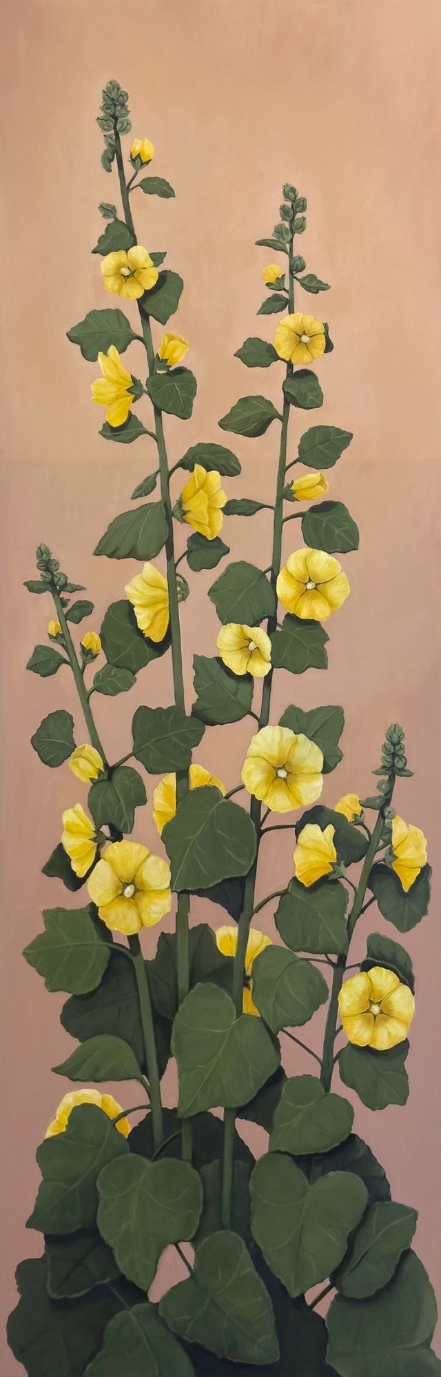 image: 
