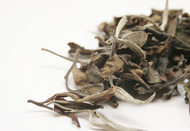 Yue Guang Bai "Moonlight White" from Chicago Tea Garden