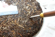 Blue Label High Mountain Ancient Arbor Raw Puerh from Crafted Leaf Tea