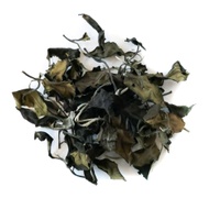 2019 Yiwu Guoyoulin White Tea from The Essence of Tea
