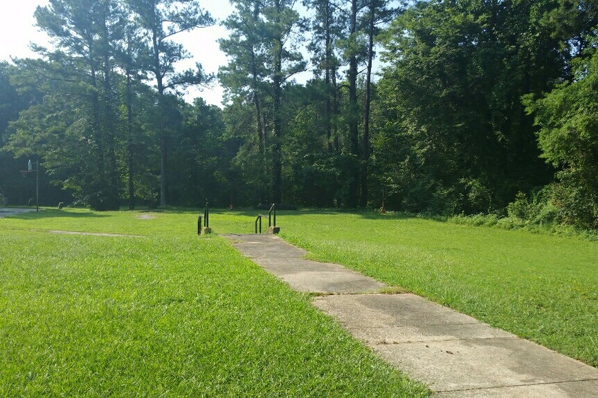 Field