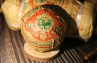 2009 Tu Lin 'Phoenix' Tuo Sheng 100g from Nan Jian Tu Lin tea factory
