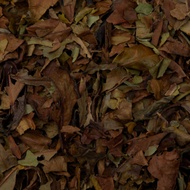 Green Shou Mei from SerendipiTea