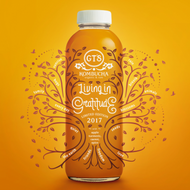 Living In Gratitude from GT's Kombucha