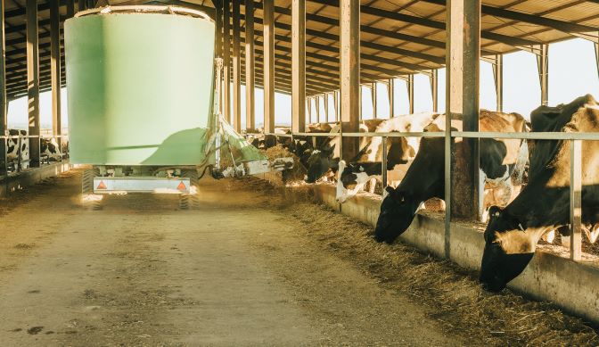 What is dairy farming