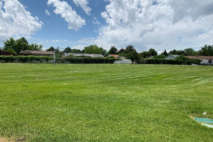 Fields
