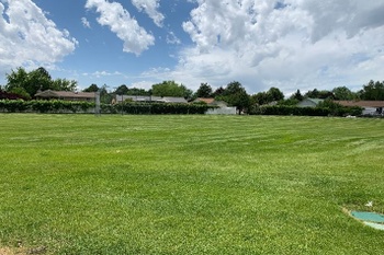 Fields