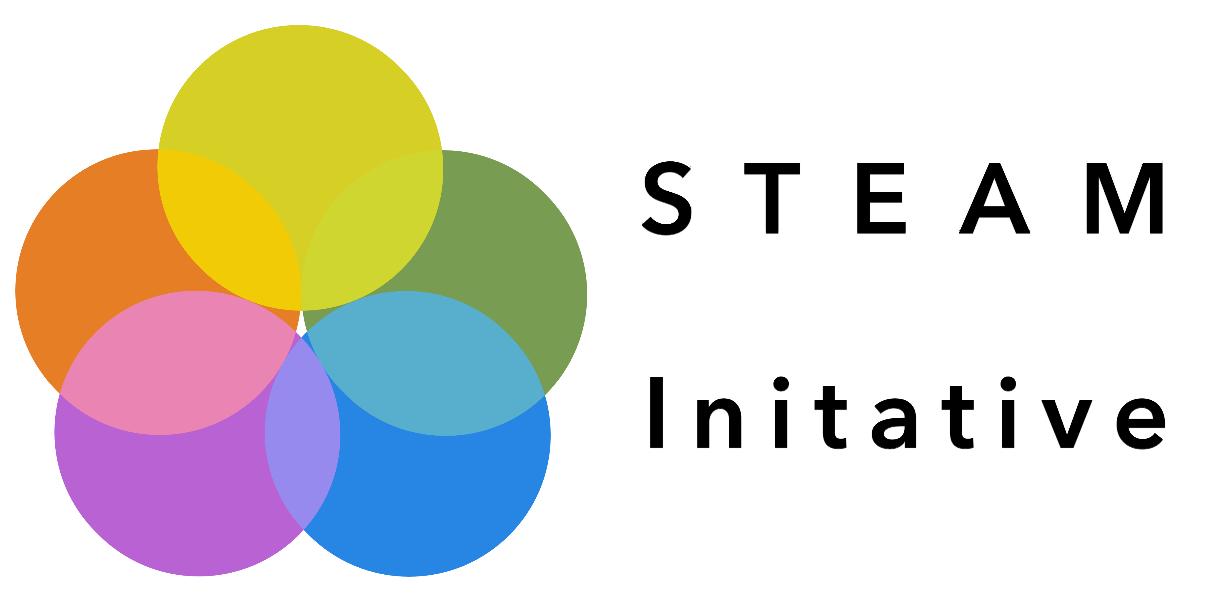 STEAM Initiative logo