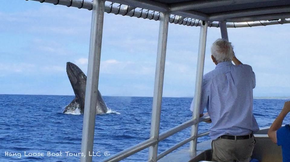 Whale Watch photo 2