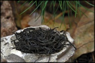 Castle Black from Whispering Pines Tea Company