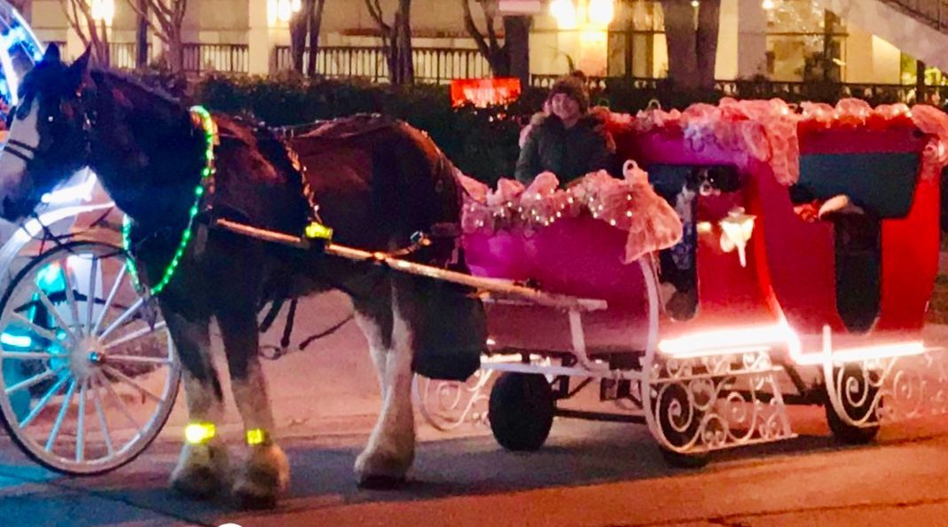 26 Passenger Christmas Sleigh Tour in Highland Park Book Tours