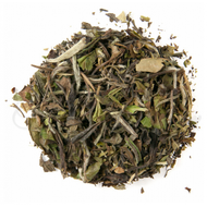 Organic Pai Mu Tan White from Classic Tea Company