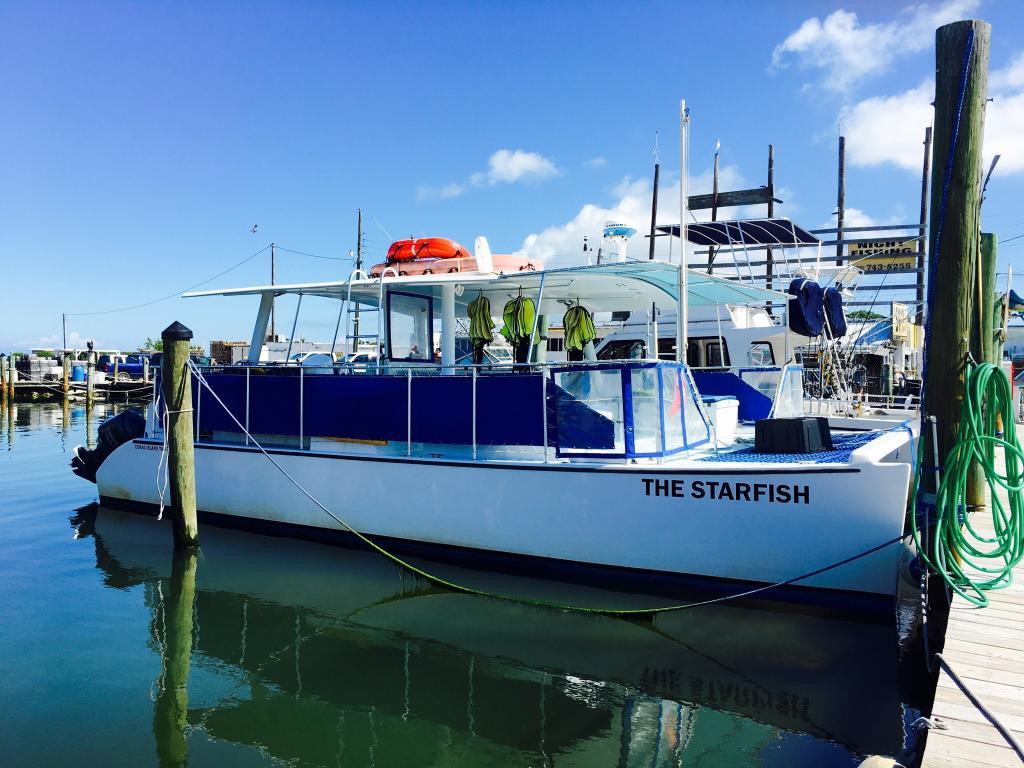 Snorkel Tour photo 1