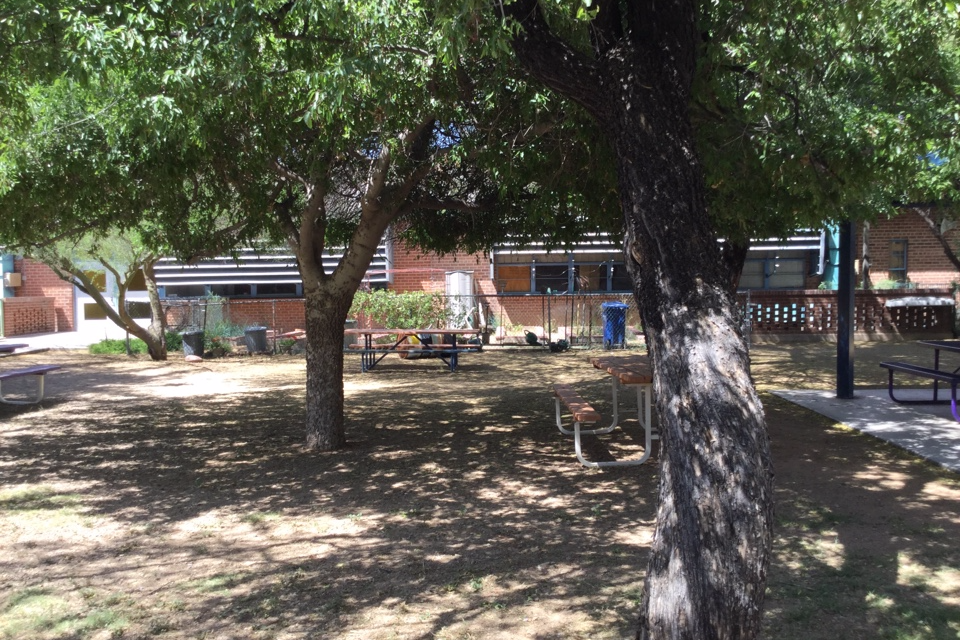 The Interior Courtyard 