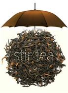 Assam from Stir Tea