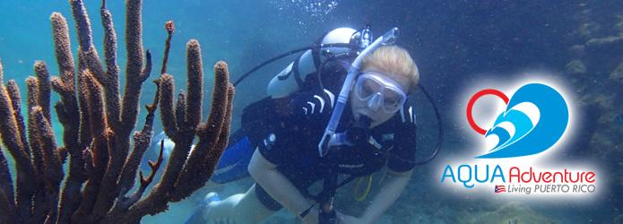 Dive San Juan’s Underwater World with Aqua Adventures Puerto Rico - San Juan