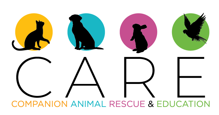 CARE Virtual Run for Rescues | Companion Animal Rescue and Education ...
