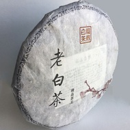 Old White Tea 2008 – Lao Bai Cha from Healthy Leaf