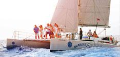 Sunset Sail photo 1
