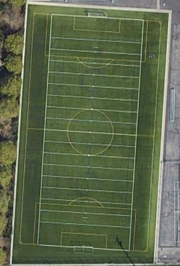 Synthetic Turf - Field