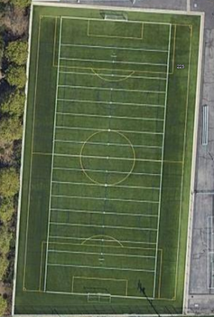 Synthetic Turf - Field