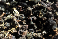 Medium-roast Jin Xuan from Whispering Pines Tea Company