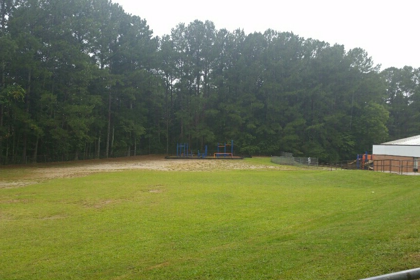 Field
