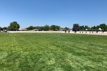 Fields