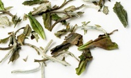 White Peony from Zhi Tea