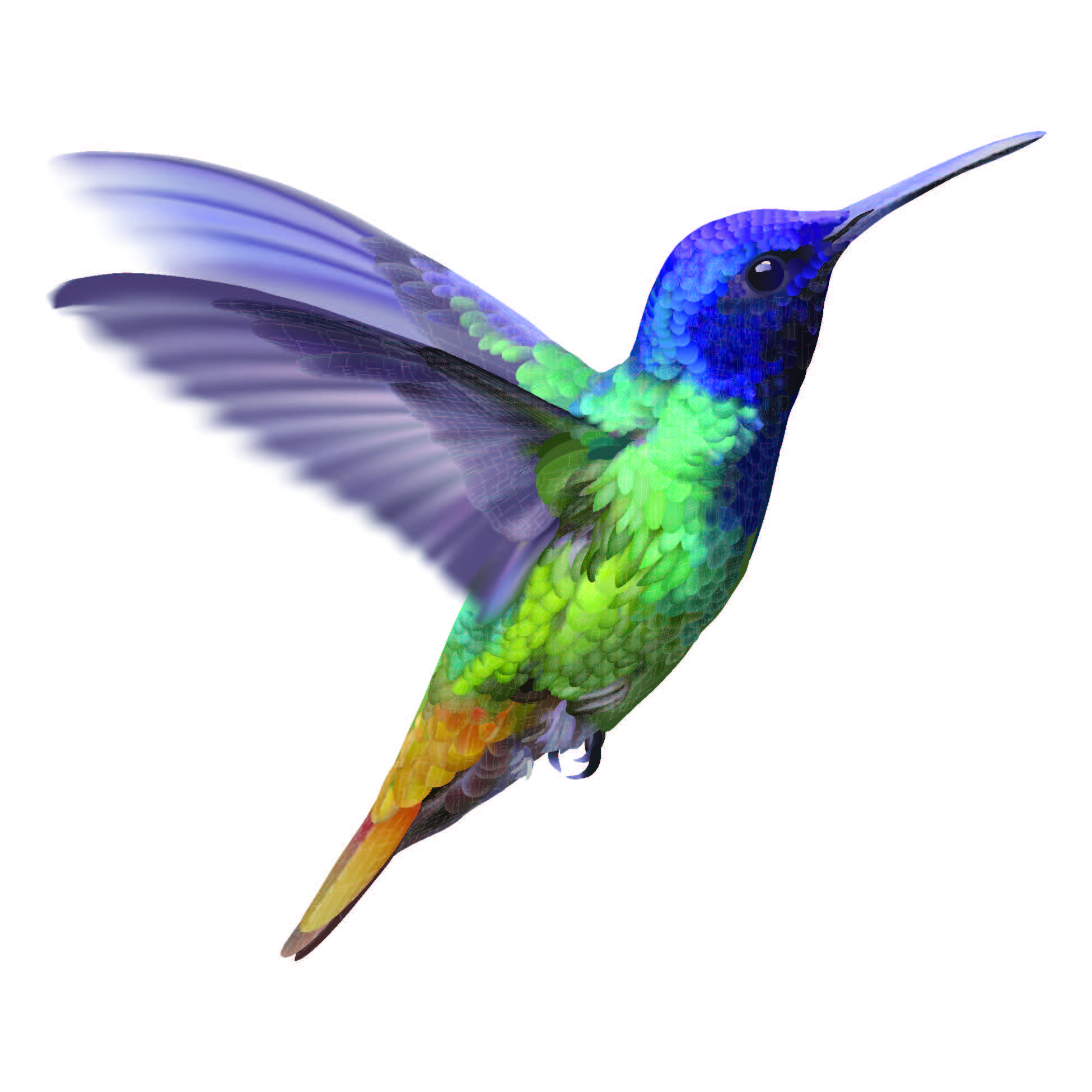 Rodriguez for Mayor 2024 logo